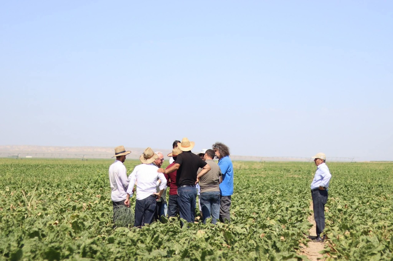 ADAU-da MATE professorları tərəfindən elmi-praktiki təlimlər keçirilib - FOTOLAR